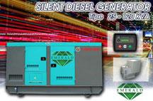  EMERALD 15 - 100 KVA